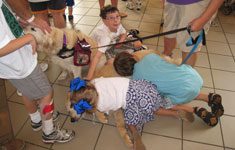 Kids with Service Dog