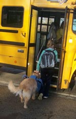 Girl and assistance dog getting on school bus